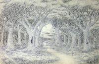 20Th Century Art - Forest Path - Black Fine Tip Pen On Paper